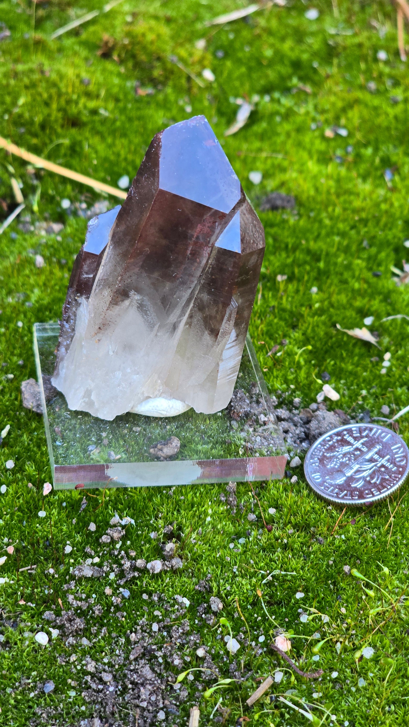Red Feather Lakes Hematite Quartz - Etsy