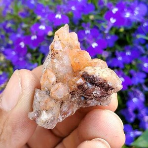 Cactus / spirit quartz Larimer county, Colorado