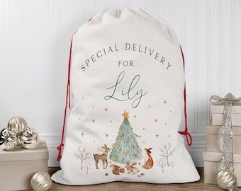 Personalised Santa Sack | Christmas Present Sack | Baby's First Christmas Gift | Special Delivery Christmas Eve Box | Father Christmas Bag