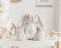 First Eid Gift | Eid Bunny Soft Toy | Eid Present for Baby's First Eid | My First Eid product logo