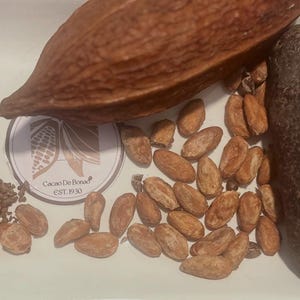 Theobroma Bio Kakao Nibs