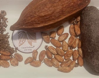 Granos de cacao orgánico Theobroma