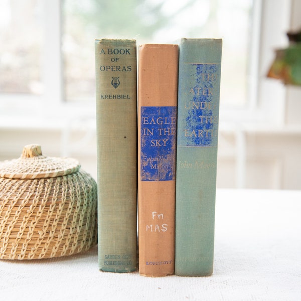 Trio of Vintage Books | Books for Home Styling, Shelf Decor - Cool Neutrals