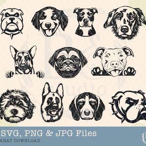 Cute Dog Face Svg, Dog svg, Dog face bundle svg, Dog face svg, Dog breed svg, Puppy svg, Dog head svg, Dog lover svg, Cricut Cut Cutting svg