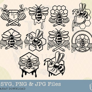 Bee Svg Bundle, Honey Bee Svg, Honeycomb Svg, Bee Clipart, Queen Bee Svg, Bee Hive Svg, Honey Bee Svg, Cute Bee Svg, Bumble Bee Svg, Clipart