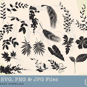 Hojas svg bundle, Hojas svg, Greenery svg, Borde de hoja svg, Divisor de hojas svg, hoja svg, Vector de hojas, Clipart de hojas, Diseño de hojas, Png