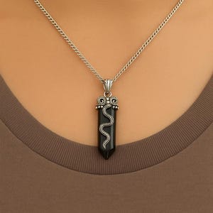May include: A silver chain necklace with a black pendant. The pendant is a dark, elongated shape with a silver snake design. The necklace is worn against a brown shirt.