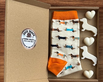 Ladies Dachshund Sausage Dogs In Tank Tops Cream Socks & Handmade Soy Wax Melts Boxed Gift Set Fragrance Of Choice Free P+P UK Eco Packaging