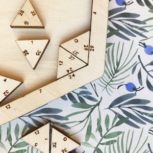 Wooden Puzzles for Adults - Hard Level - Triangle Puzzle