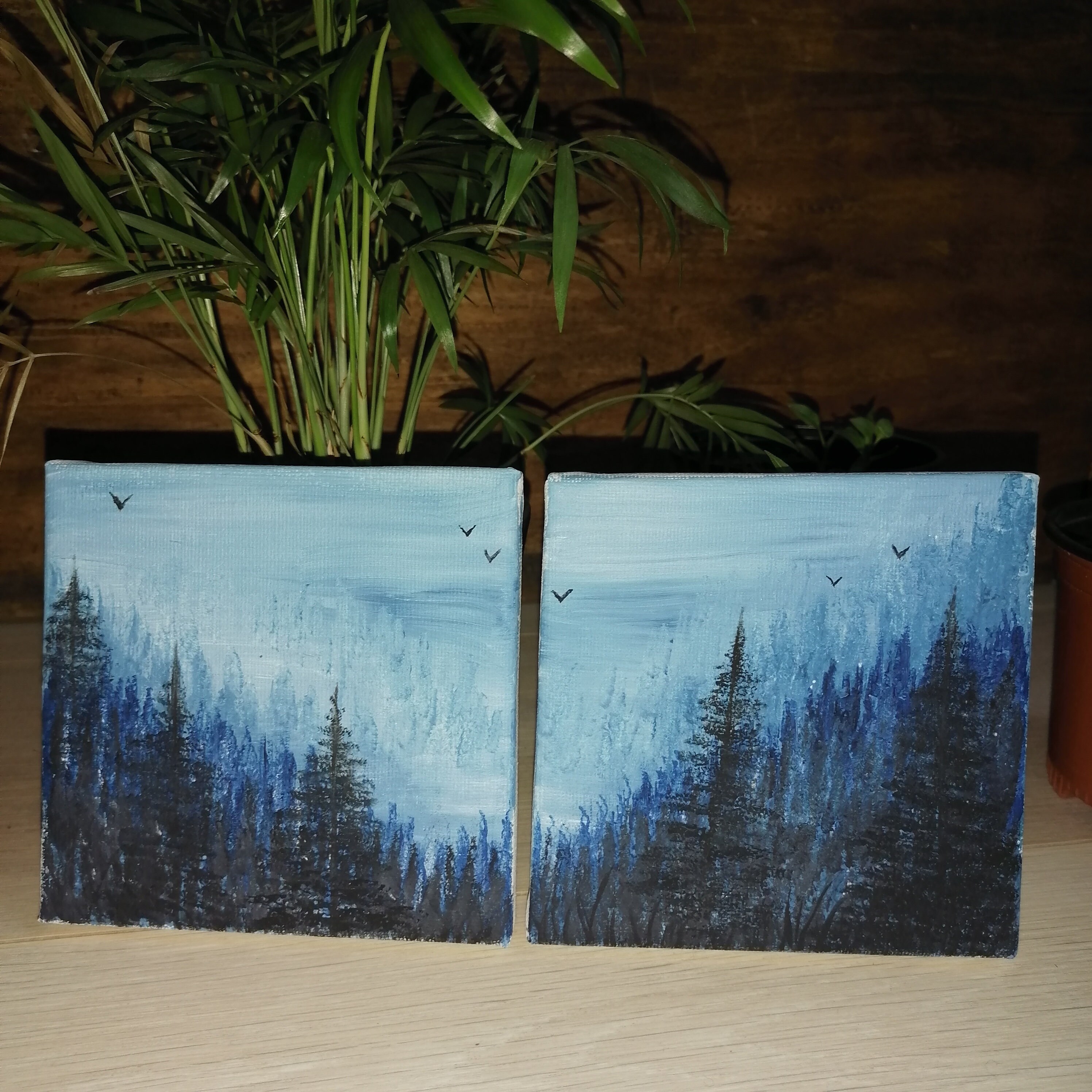 Brouillard en Forêt