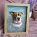 see more listings in the 3D Pet Portraits section