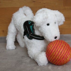 Könnte beinhalten: Ein weißes Plüschspielzeug-Hündchen mit einem schwarzen und türkisfarbenen Geschirr spielt mit einem rosa-gelb gestreiften Ball.
