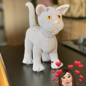 Dutch Crochet Pattern Froggel ( Cat / Cuddle / Pet ) DUTCH