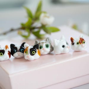 May include: Six ceramic cat head figurines in various colours and patterns, including white, black, grey, brown, and orange. The figurines are arranged in a row on a pink surface.