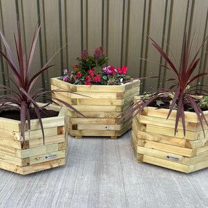 May include: Three hexagonal wooden planter boxes in different sizes, with two featuring dark red plants and one with a variety of pink and red flowers.