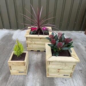 May include: Three wooden square planters of different sizes, each filled with soil and plants. The largest has a tall plant with burgundy leaves and pink flowers. The others contain green plants and red berries. Measurements in cm.