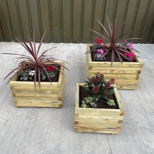 May include: Three wooden planter boxes in different sizes, each filled with soil and plants. The largest planter is filled with a red-leaved plant and pink flowers. The medium planter has a dark green plant with red flowers. The smallest planter has a green plant with white flowers.