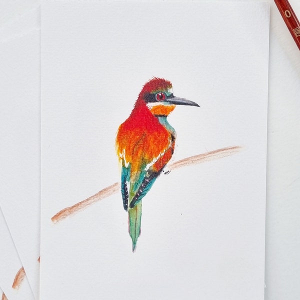 Multicolor European bee-eater illustration postcard Precious nature collection PRINT A6 /A5/A4