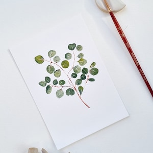 Carte postale illustration aquarelle  botanique eucalyptus vert collection herbier PRINT A6 personnalisable. Impression aquarelle.