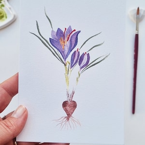 Carte postale aquarelle illustration de fleur de Crocus à Safran Collection Blossom PRINT format au choix