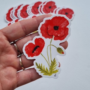 Sticker Vinyl illustration aquarelle botanique coquelicot rouge / vert