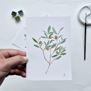 Carte postale illustration aquarelle  botanique olivier vert collection herbier PRINT A6. Impression aquarelle.