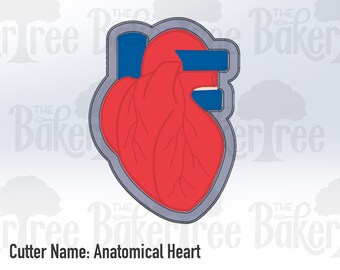 Anatomisches Herz - STL Datei Ausstechform - Digitaler Download