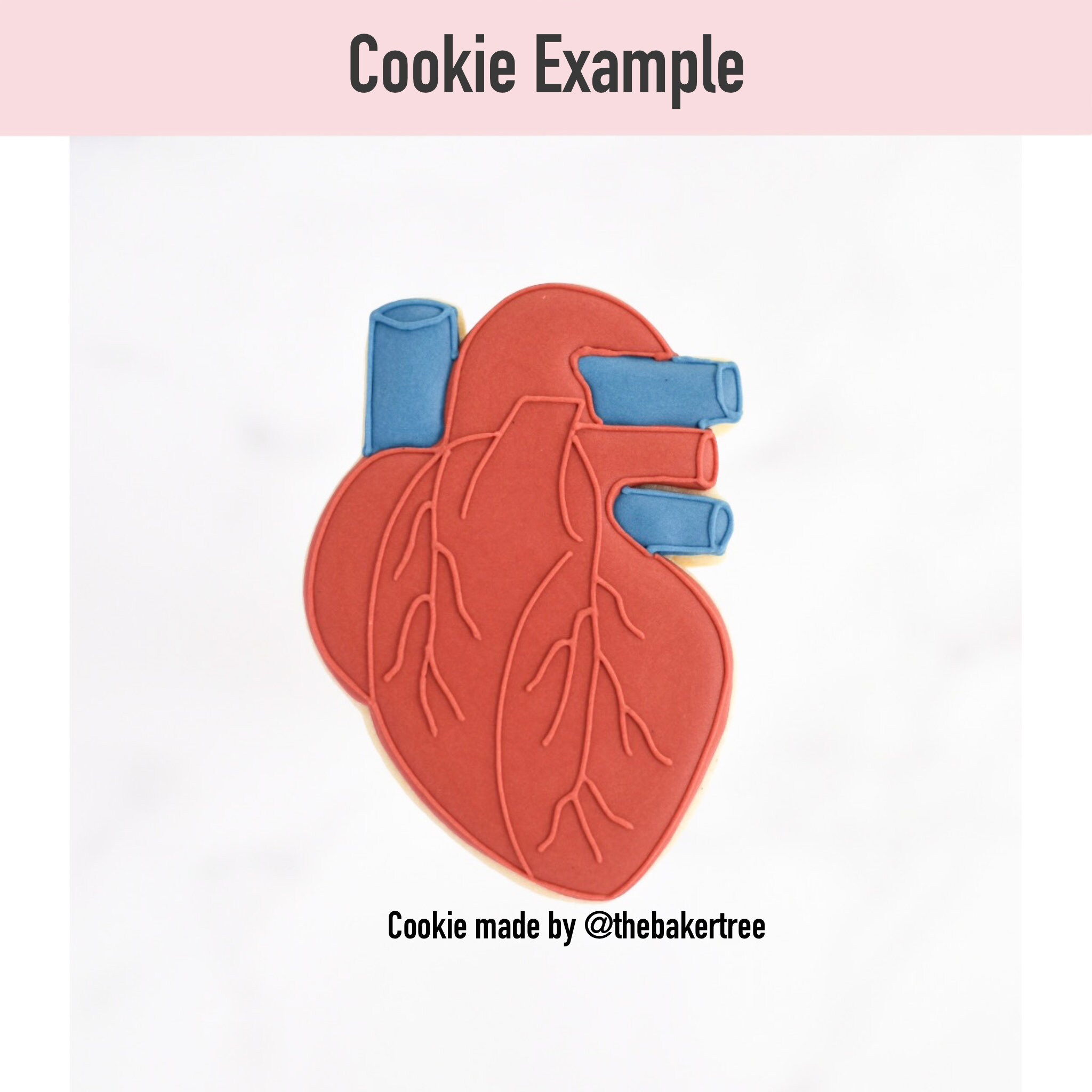 Anatomical Heart - STL File Cookie Cutter - Digital Download - Etsy