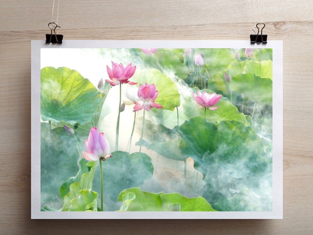 Pink Lotus Flower Printable Poster Wall Art, Home Decor, Instant