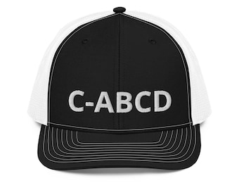 Custom Embroidered Airplane Tail Number Baseball Cap - Pilot Gift