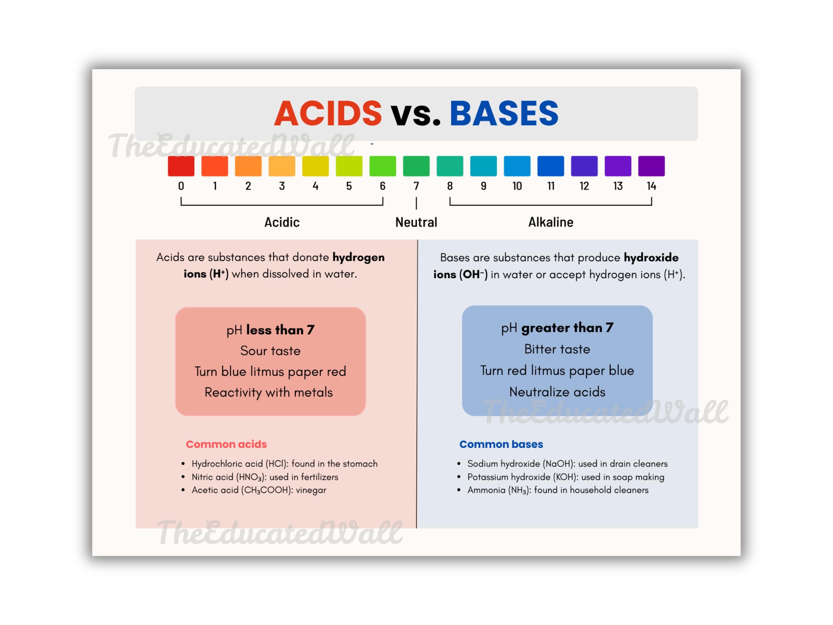 Acids Vs Bases Poster, Ph Scale Chart, Classroom Chemistry Decor ...