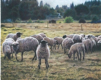 Sheep Out to Pasture Colored Pencil Giclée Art Print, Farm Animal Art, Sheep Art, Farmhouse Decor, Lamb Art, Sheep Mini Print