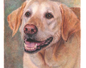 Custom Pet Portraits in Colored Pencil and Watercolor, Dog Portrait from Photo, Labrador Retriever Portraits, Pet Memorial, Mixed Media