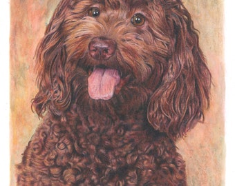 Custom Hand-Drawn Pet Portraits in Colored Pencil and Watercolor, Dog Portrait from Photo, Labradoodle Portraits, Pet Memorial, Mixed Media