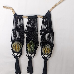 Triple Moon Succulent Wall Planter | Black Macrame Whimsigoth Boho Plant Hanger for Small Indoor Air Herb Cactus Artificial | Living Art