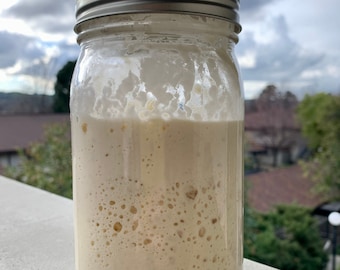 ORGANIC Heirloom Fresh and Active Sourdough Starter - 50 Grams in Glass Mason Jar with Instructions!
