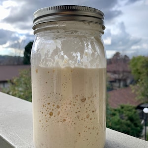 ORGANIC Heirloom Fresh and Active Sourdough Starter - 50 Grams in Glass Mason Jar with Instructions!