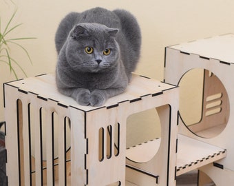 Cardboard cat playhouse 2025