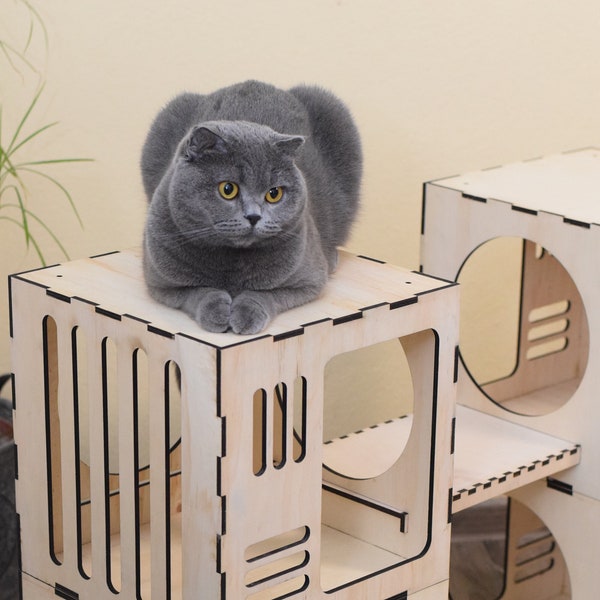 Maison en bois modulaire chat, chat 4 cubes avec 2 ponts, maison en bois chat SVG, maison de chat, jouets pour animaux de compagnie, téléchargement numérique découpé au laser, SVG et DXF