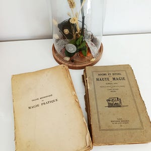 May include: An arrangement of dried flowers and a black rose in a glass cloche, with two antique books. The books have aged, yellowed pages and French text. One book is open, and the other is closed.