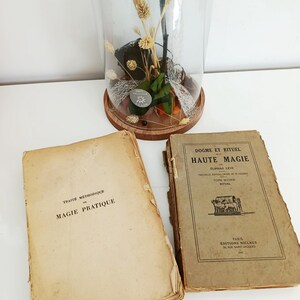 May include: An arrangement featuring a black rose under a glass cloche, with dried wheat and greenery. Two antique books with French text are in the foreground. One book is titled "TRAIT&Eacute; M&Eacute;THODIQUE DE MAGIE PRATIQUE."