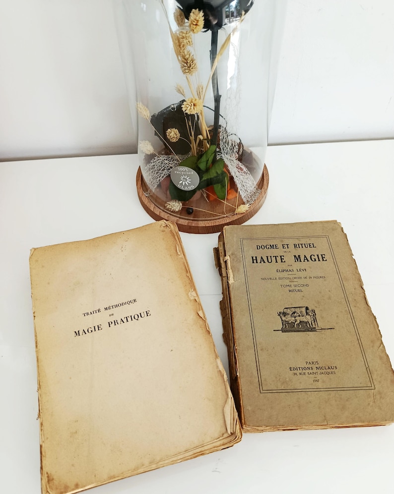 May include: An arrangement featuring a black rose under a glass cloche, with dried wheat and greenery. Two antique books with French text are in the foreground. One book is titled "TRAIT&Eacute; M&Eacute;THODIQUE DE MAGIE PRATIQUE."