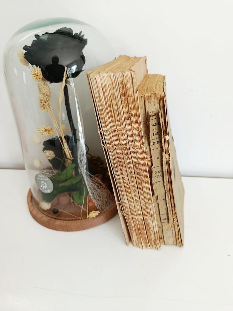 May include: A black rose encased in a glass cloche with a wooden base, accompanied by dried wheat and vintage books. The books have aged, tan pages and visible stitching. The cloche is clear, allowing a full view of the rose.
