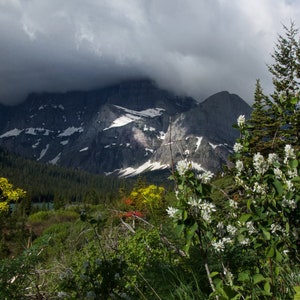 A hike through Glacier