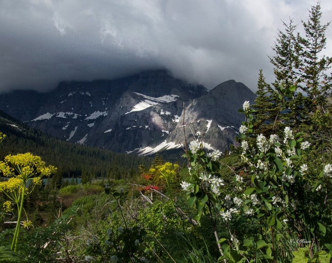 A hike through Glacier