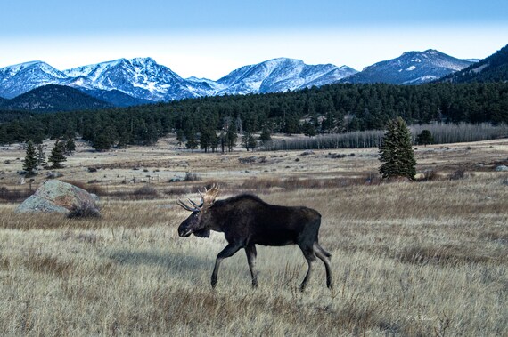 Stroll through the Rockies
