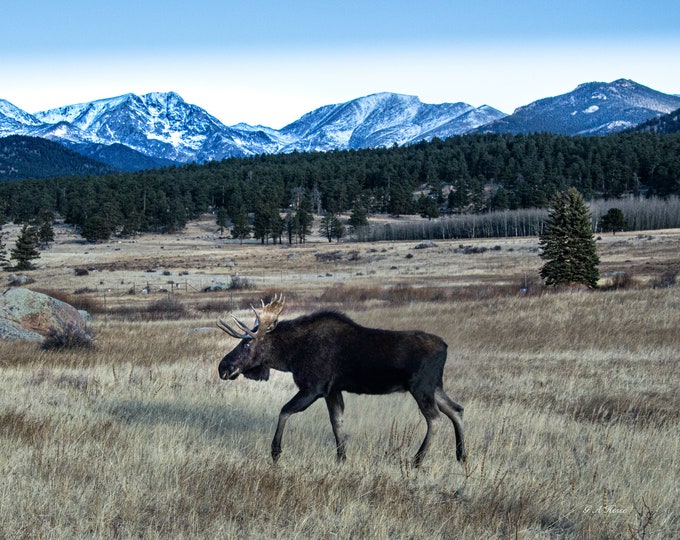 Stroll through the Rockies