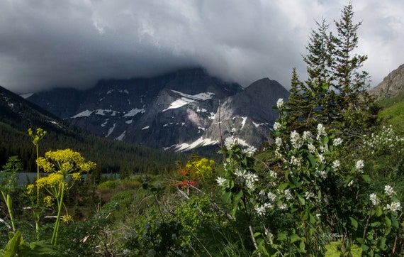 A hike through Glacier