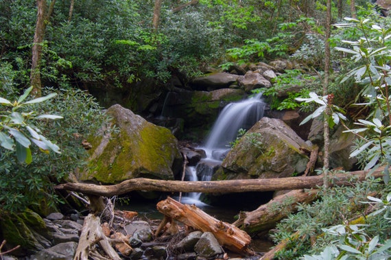 Great Smoky Mountains