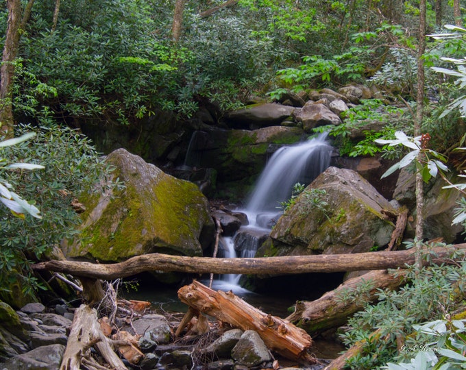 Great Smoky Mountains